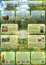 Poster: Permaculture
